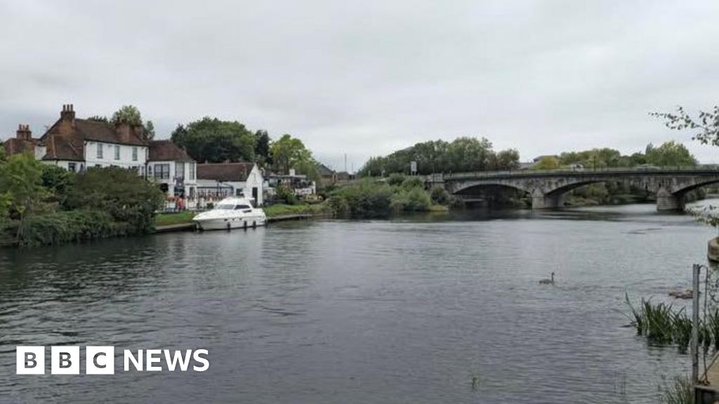 Surrey Police warns against seal disturbances on the River Thames